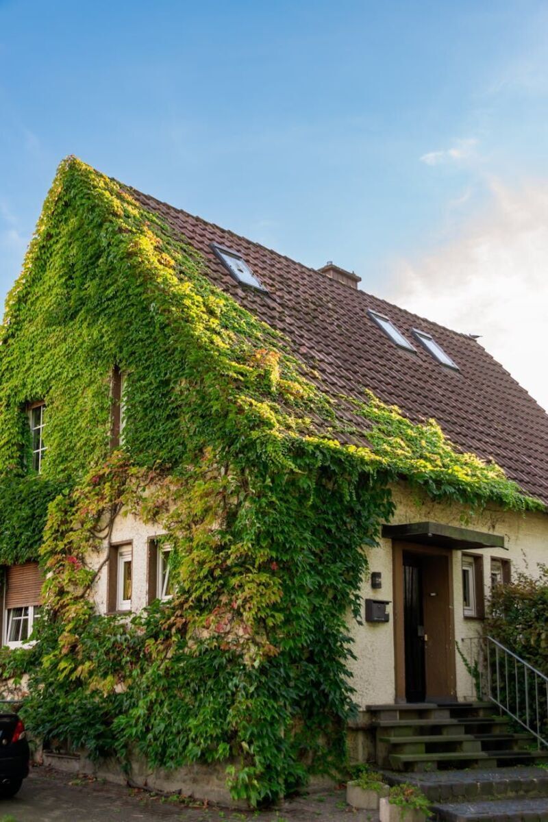 Haus auf der Waldau, Evangelische Heimstiftung - Krankenversicherung